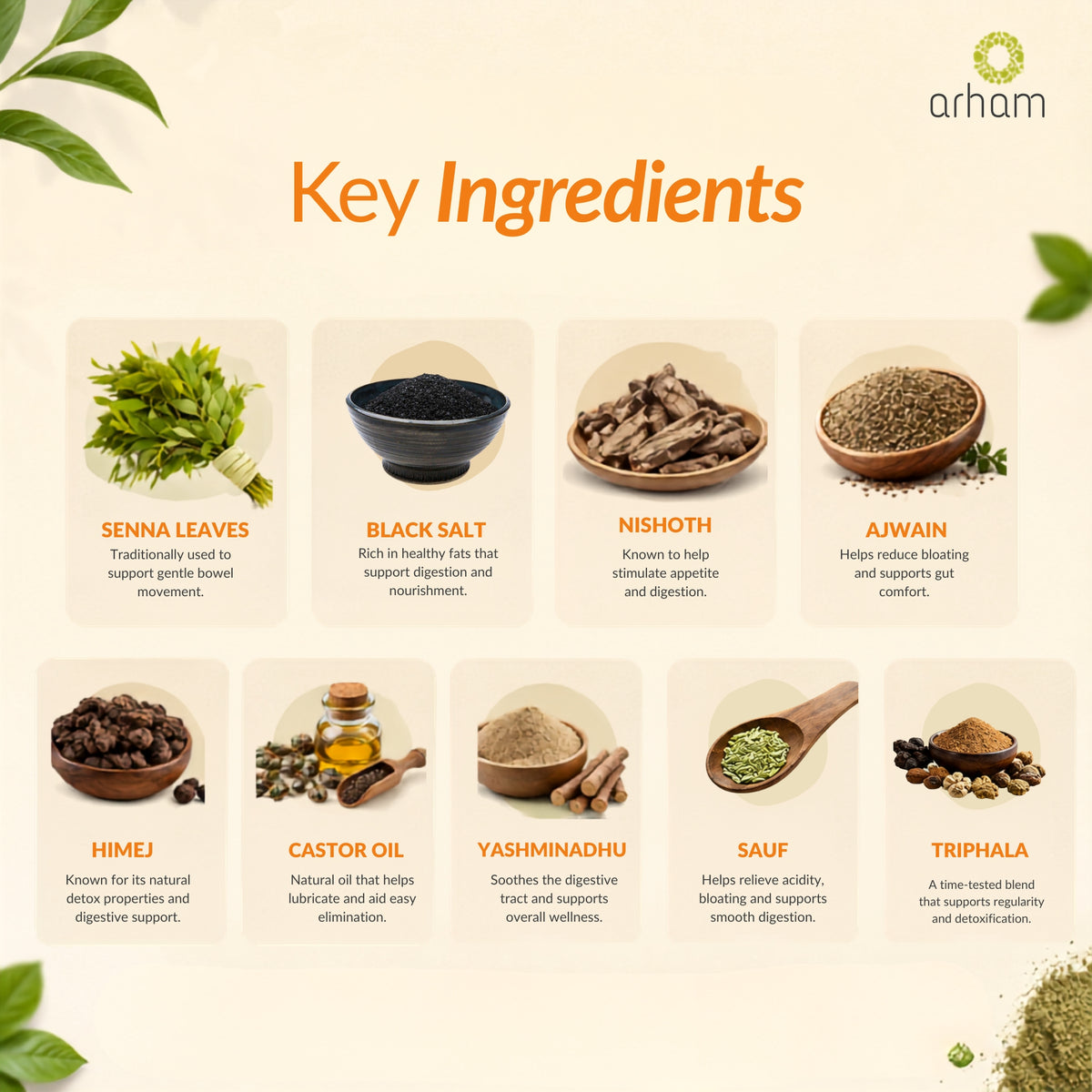 Arham Life Easy Go Juice Powder