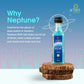Neptune 100gm