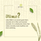 Little Millet Pasta